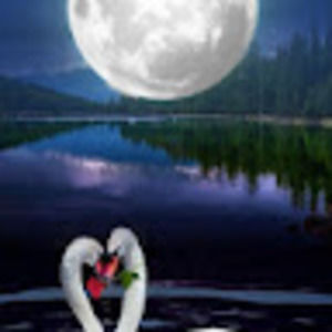 Meet your Posher, Adelso